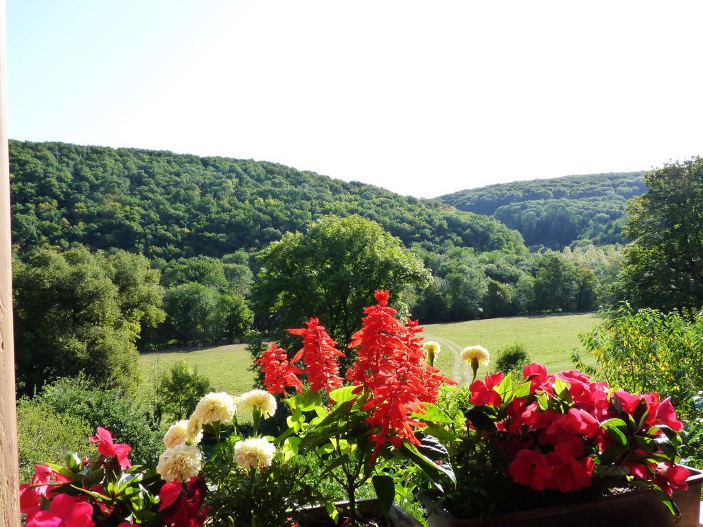 La Maison De Cure Hotel Domecy-sur-Cure Bagian luar foto